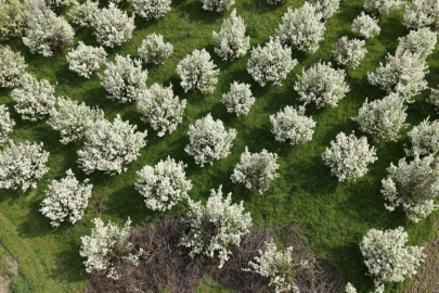 Bursa'da kartpostallık görüntüler
