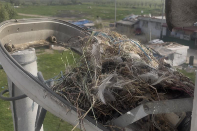 Bursa'daki sokak lambaları kuşlara yuva oldu