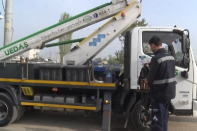 Bursa'daki sokak lambaları kuşlara yuva oldu