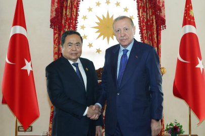 Cumhurbaşkanı Erdoğan, Thanh Man'ı kabul etti