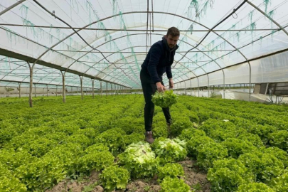 Bursa'da bu sefer tarladan güzel haber geldi...