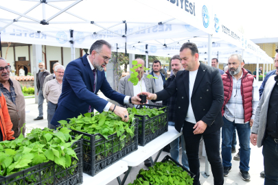 Kestel’de çiftçiye büyük destek: 6 bin kaliteli Ahududu fidanı dağıtıldı