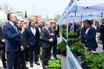 Kestel'de üreticiye 6 bin ahududu fidanı desteği