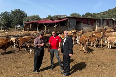 Yerli ırk üreticinin yüzünü güldürüyor