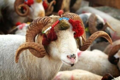 Kurban vekalet ücretleri belli oldu