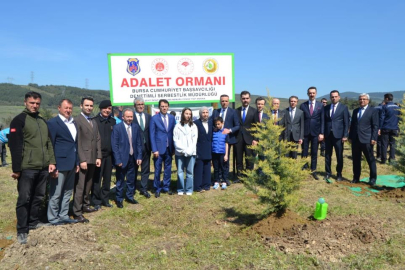 Bursa'da şehit Cengiz Yiğit anısına hatıra ormanı