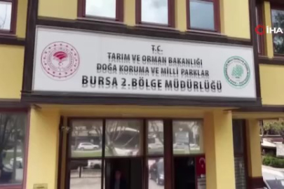 Bursa'da kaçak güme operasyonu