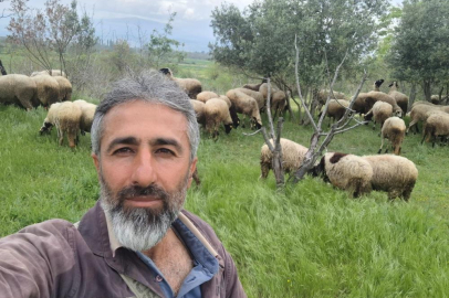 Çeşme sakızı ile Fransız koçunu birleştirdi, verimi katladı