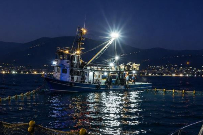 Gemlik Körfezi'nde sardalya avcılığı başladı