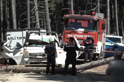Bursa'da işe giderken ağaç altında can verdi
