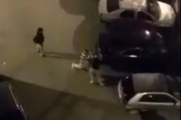 Bursa’da gece yarısı kavga: Sokak boks ringine döndü