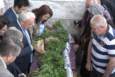 Nilüfer'de ücretsiz fide izdihamı
