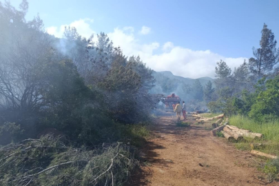 Hatay’da ormanı yangını