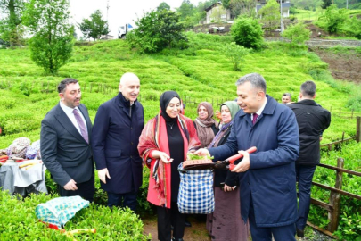 Trabzon'da yaş çay sezonu dualarla açıldı