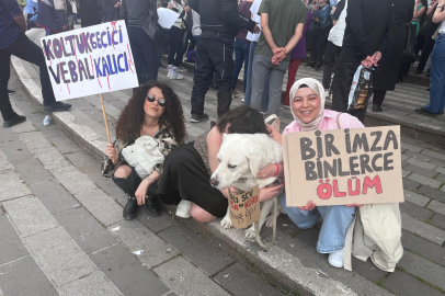 Barınak koşulları Bursa'da protesto edildi