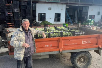 İznik'te mevsimin ilk kabak hasadı