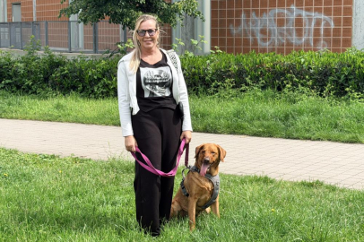 Köpek sahiplerine sigorta şartı