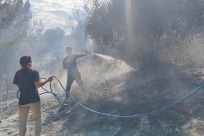 Ormanlık alanda yangın paniği