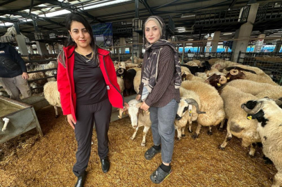 İki kadın celep, Bursa'daki kurban pazarında rekabeti artırdı