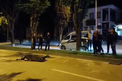 Bursaspor camiasının acı günü: Kardeşiyle aynı kaderi yaşadı