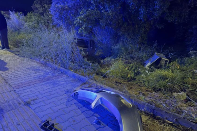 Bursa'da direksiyon hakimiyetini kaybetti, tarlaya uçtu: 4 yaralı