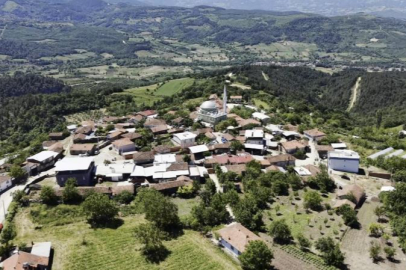 Bursa'da o köyde 'İmece' usulü sürüyor