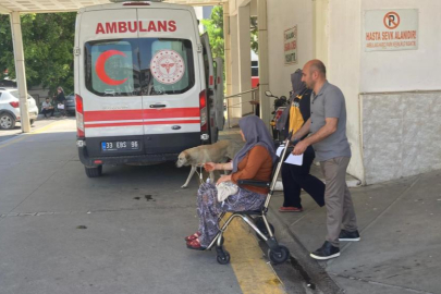 Mantar yiyen 7 kişi hastaneye kaldırıldı