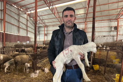 57 yıllık tecrübeden önemli tavsiyeler