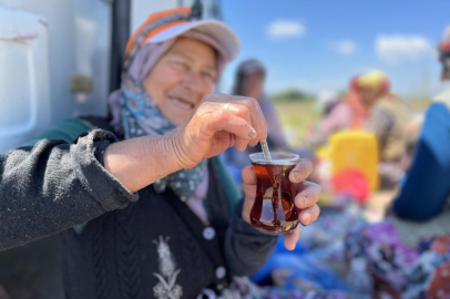 Bursa'da tarlanın vazgeçilmez molası