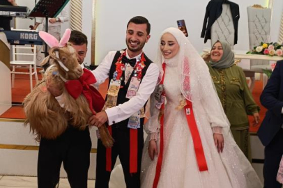Düğünde altın yerine keçi taktılar