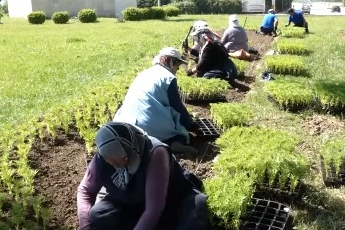 Bu yaz Osmangazi’de çiçek kokuları eksik olmayacak