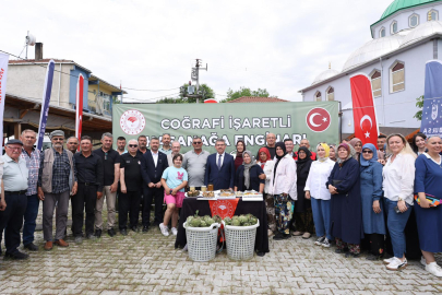 Bursa'nın tescilli lezzetinde hasat zamanı