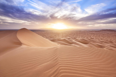 Sahara Çölü’nde 50 kişi susuzluktan öldü