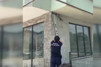 Bursa'da iş yerine giren yılan paniğe neden oldu