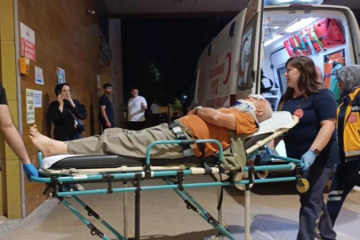 Bursa'da erik toplamak için çıktığı ağaçtan düşerek yaralandı