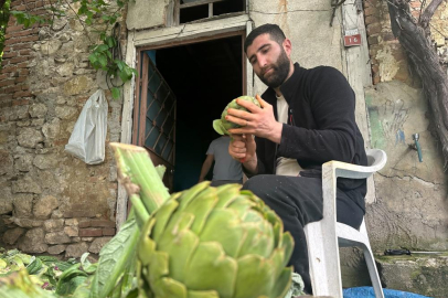 Enginar soyarak ayda 240 bin lira kazanıyor