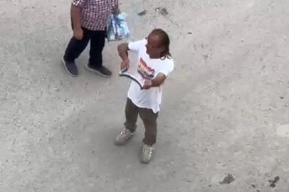 Paniğe sebep olan yılanı eliyle yakaladı
