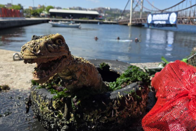 Marmara Denizi Günü'nde denizden maket dinozor çıktı