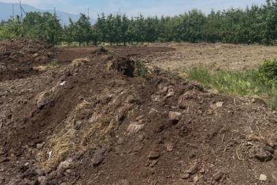 Organik gübre fiyatları geçen yıl ile aynı