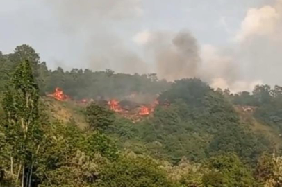 Bursa'da makilik alanda yangın