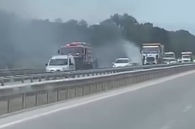 İzmir-Bursa kara yolunda alevler korkuttu