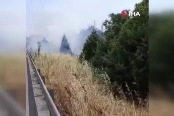 İzmir-Bursa kara yolunda alevler korkuttu