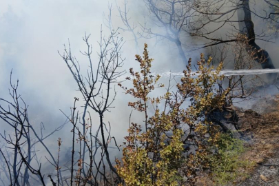 Bursa’da korkutan yangın