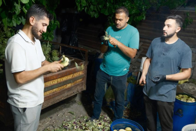 Bursa'da ailecek enginar soyuyorlar: Hem de 10 saniyede