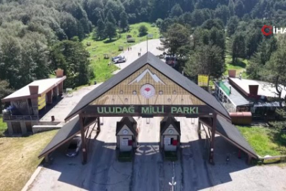Uludağ'ın zümrüt yeşili ormanları Jandarma'ya emanet