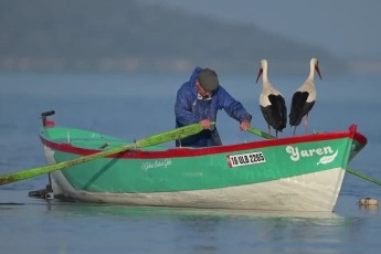 Adem amcanın kayığı hayvanat bahçesi gibi