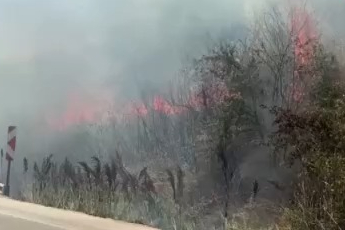 Bursa'da otluk alanda korkutan yangın