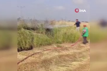 Bursa'da şerare yapan elektrik telleri yangına sebep oldu