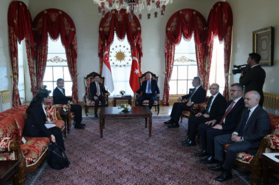 Cumhurbaşkanı Erdoğan, Singapur Başbakanı Lawrence Wong'u kabul etti