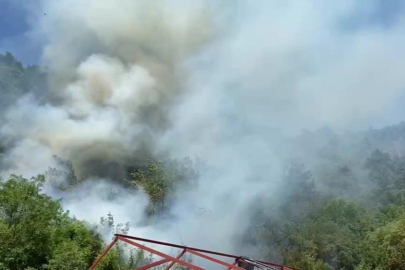 Bursa'da ormanlık alanda yangın